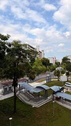 Blk 255 Kebun Baru View (Ang Mo Kio), HDB 3 Rooms #571005821
